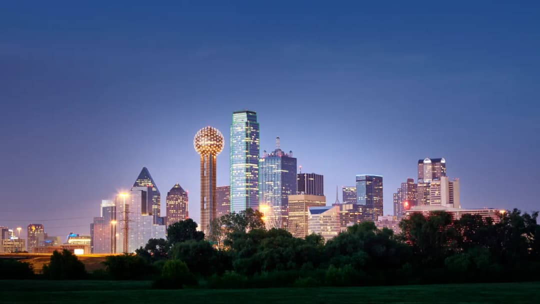 Picture of Dallas
